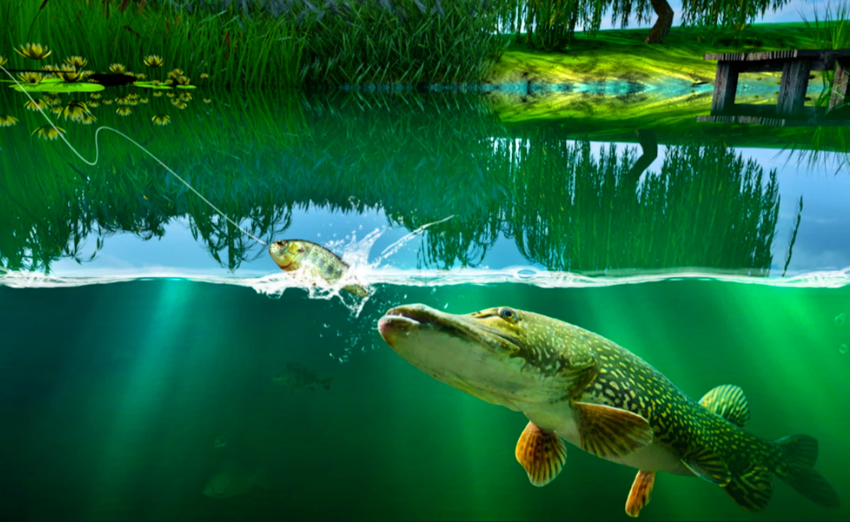 Willow Pond Fishing Game