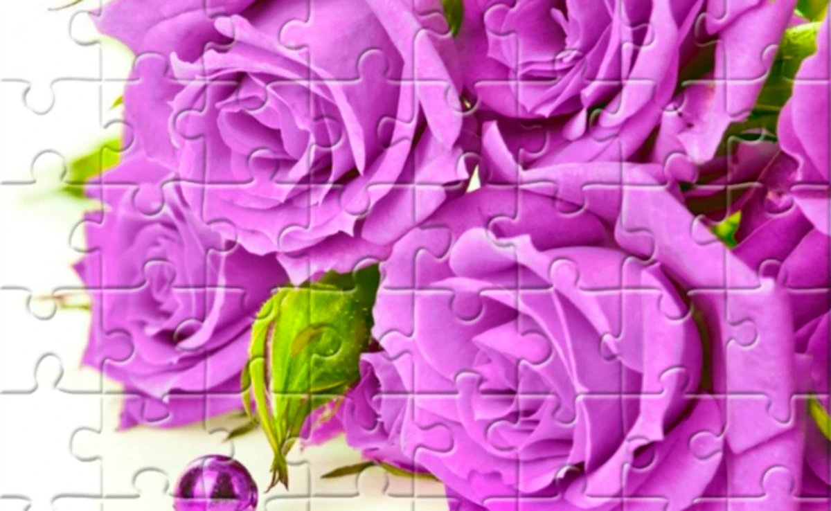 Purple Roses Puzzle Preview